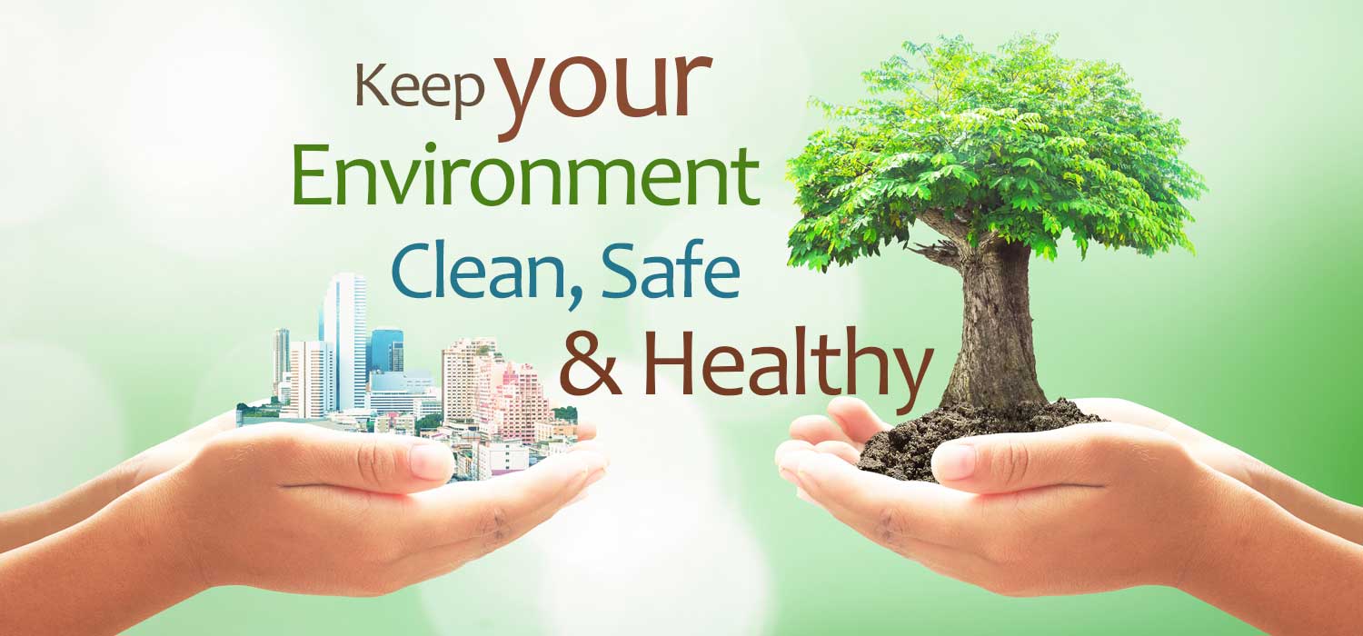 Professional cleaning service