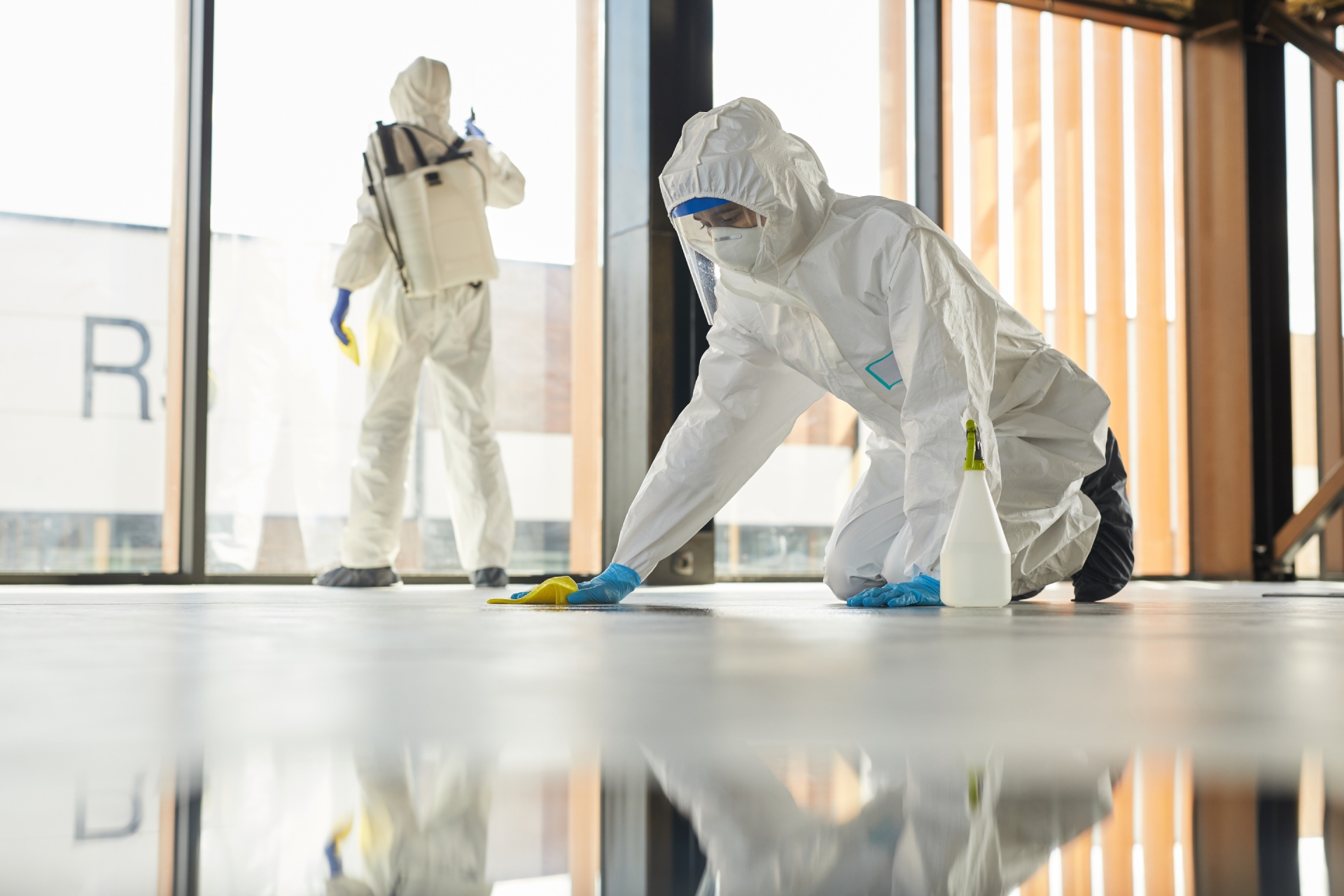 Professional cleaning service